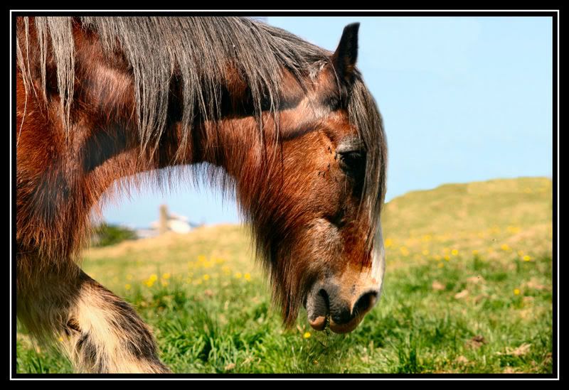 IMAGE: http://i141.photobucket.com/albums/r54/toejam237/IMG_6519.jpg