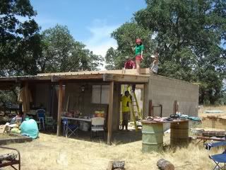 Ideas Anyone - About ready to give up! - Homesteading Questions