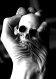 th_halloween_skulls_38.jpg