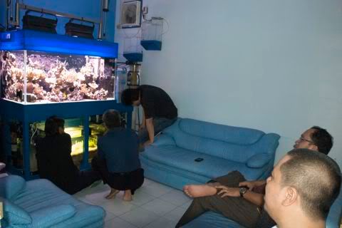 DSC_0074-1.jpg