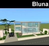 BlunaHP1.jpg