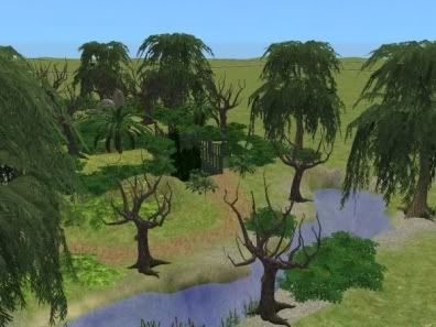 Cave_01.jpg