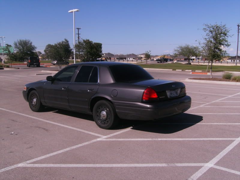 baby010.jpg