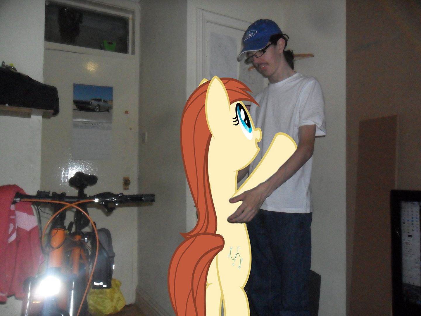 PonyLove_zpsf4db5e6f.jpg