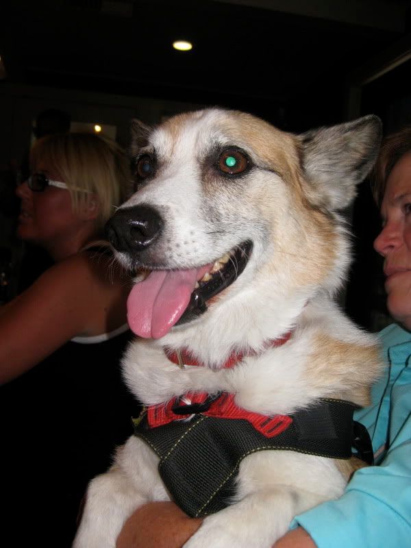 Even Twitter celebrity Wine Dog made an appearance!