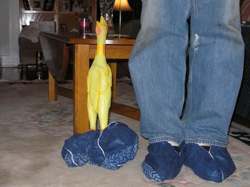 Booties! A little too big...the chicken has small feet....