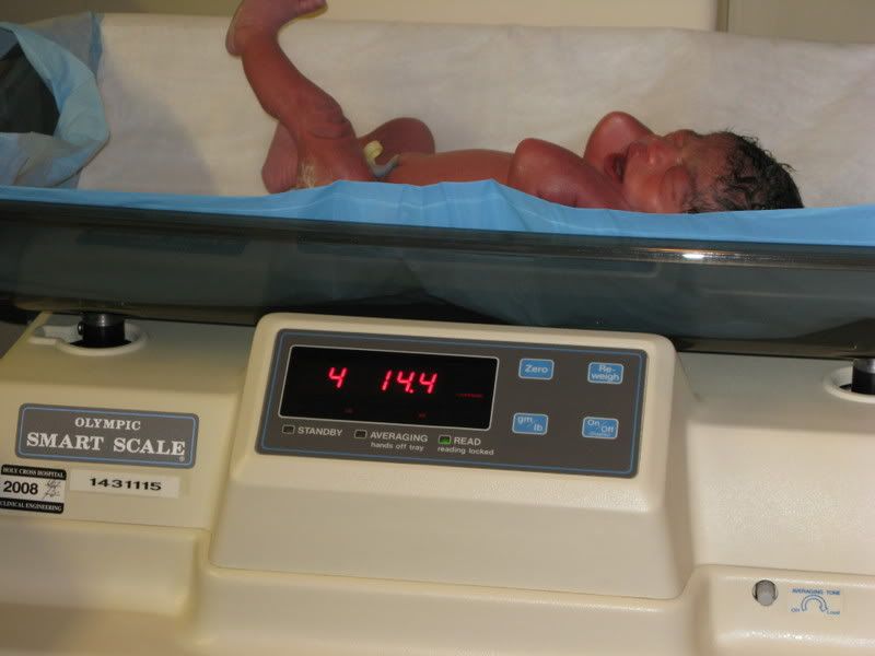 IMG_0391.jpg 4 pounds 14 ounces 17 inches long picture by negra266