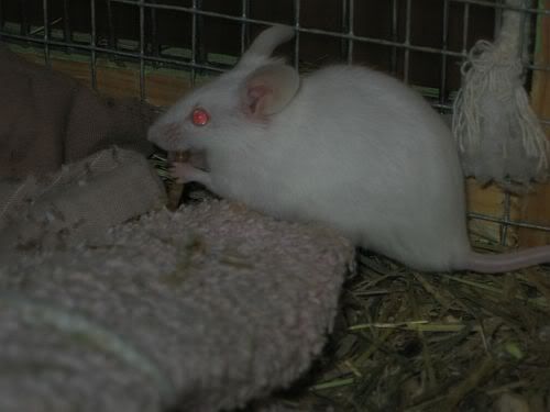 IMG_7942.jpg