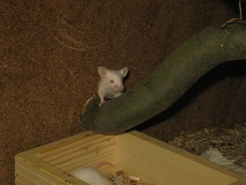 IMG_7943.jpg