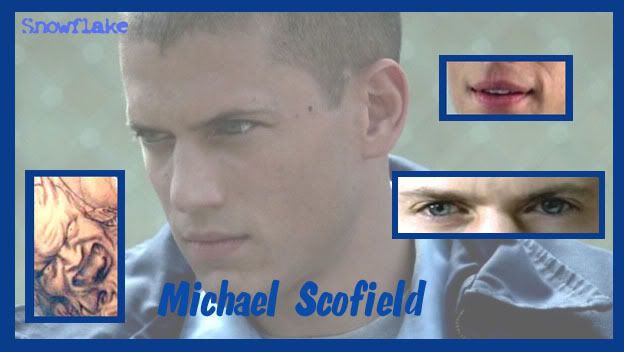 Michael Scofield Image