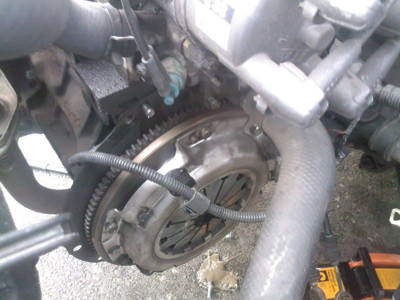 SP_A0600.jpg