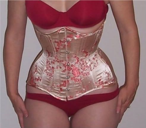 tight lacing corsest stays boning