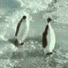3657635431188484683.gif
