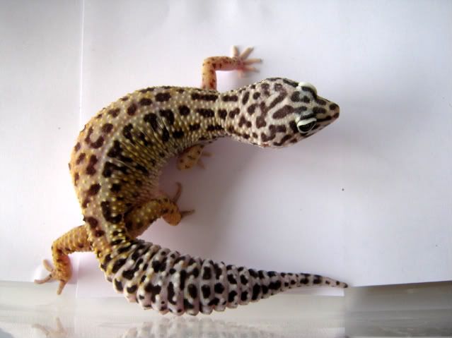 5ceb6b16.jpg