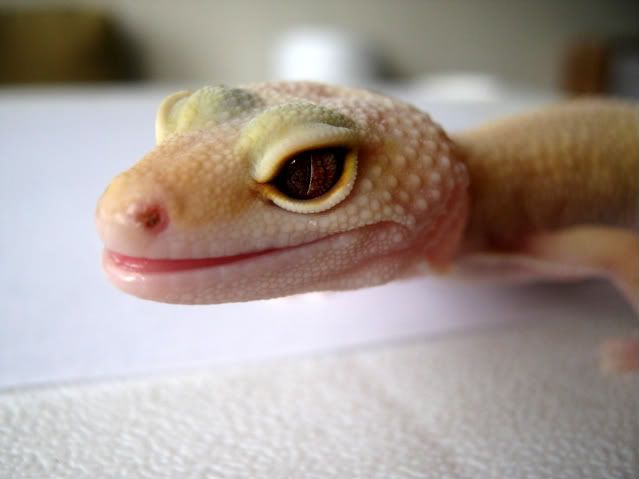 9a8c280f.jpg