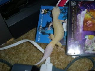 DSCN0840.jpg