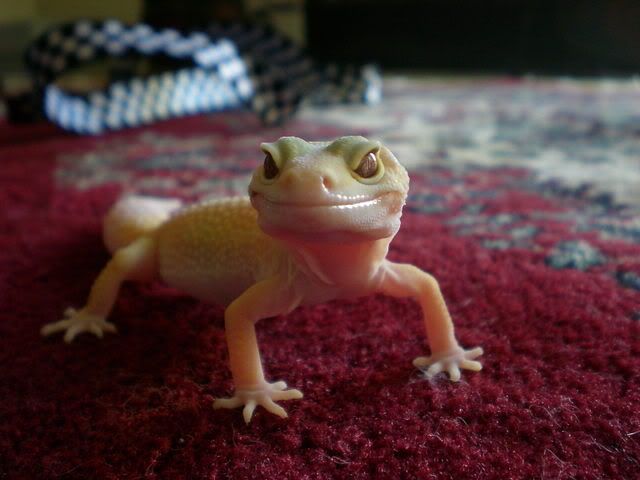 DSCN0905.jpg