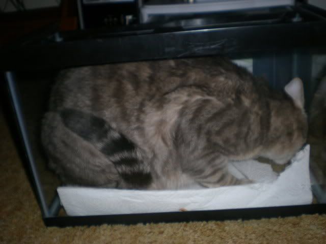 DSCN1001.jpg
