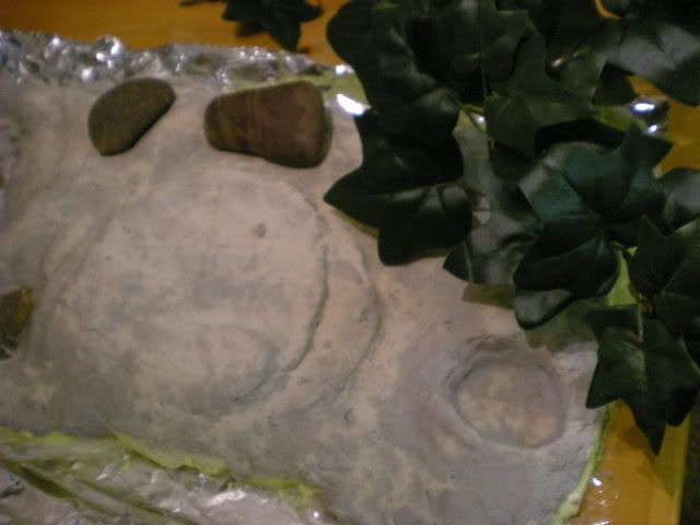 DSCN1009.jpg