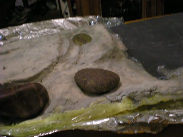 DSCN1016.jpg
