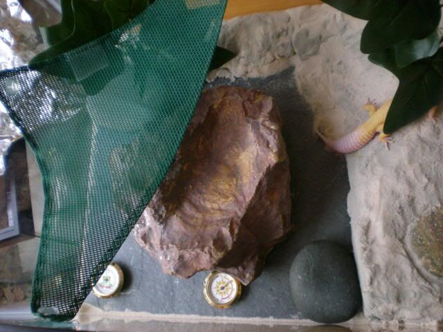 DSCN1021.jpg