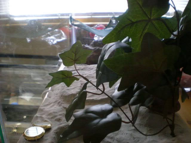 DSCN1023.jpg