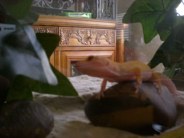 DSCN1024.jpg