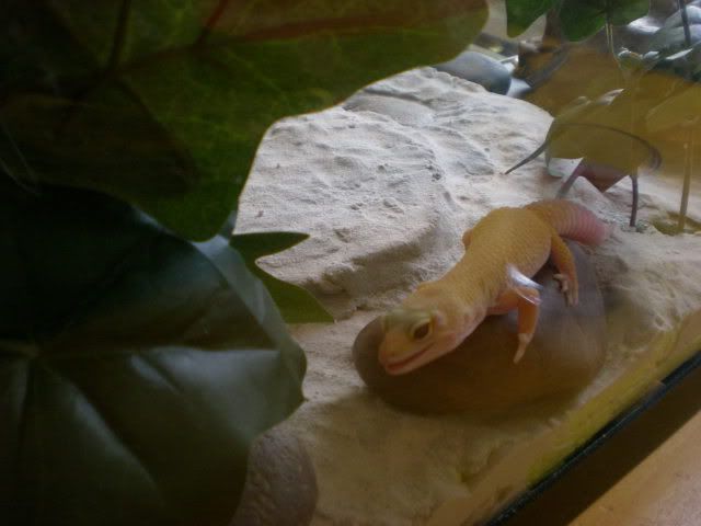 DSCN1025.jpg