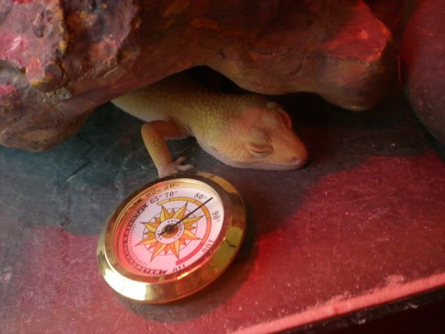 DSCN1029.jpg