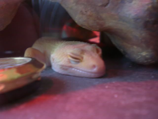 DSCN1030.jpg
