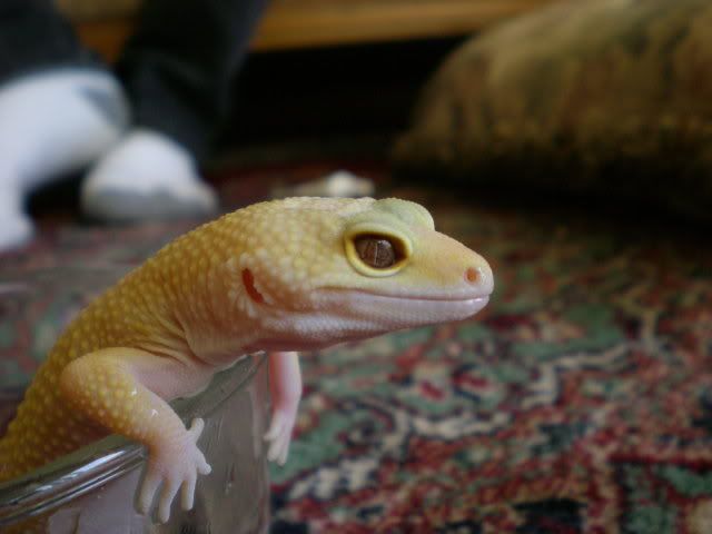 DSCN1063-1.jpg