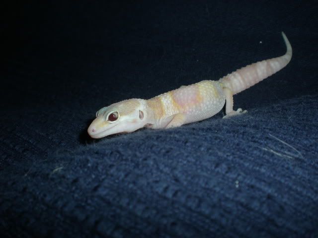 DSCN1250.jpg