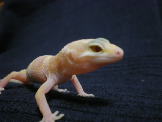 DSCN1252.jpg
