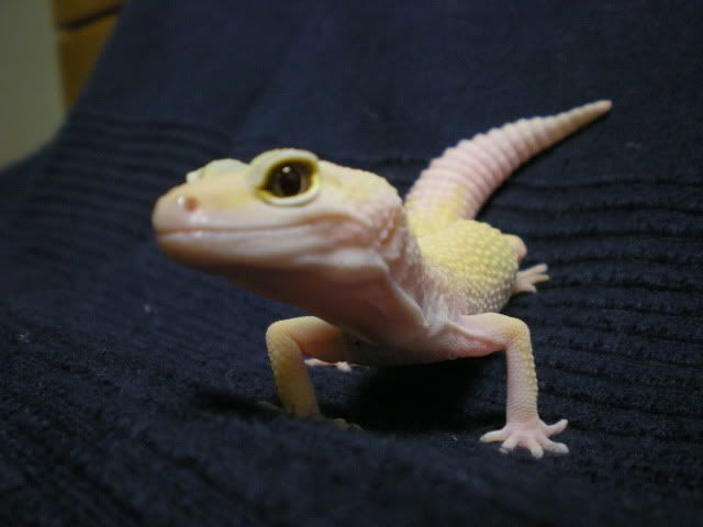 DSCN1263.jpg