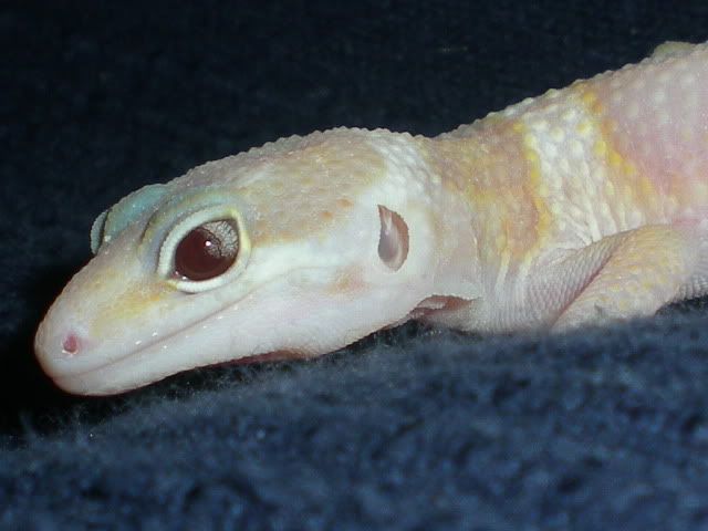 RSCN1279.jpg