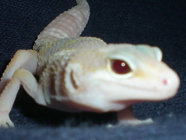 RSCN1281.jpg