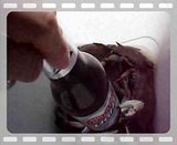 FightingCrabs.mp4 video by Dolfangl