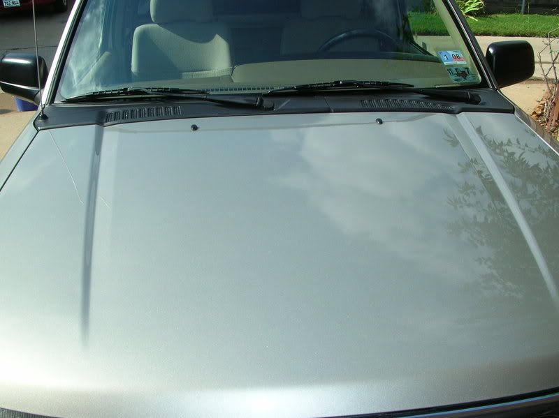 DSCN8117.jpg