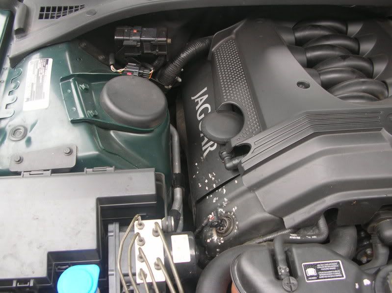DSCN9060.jpg