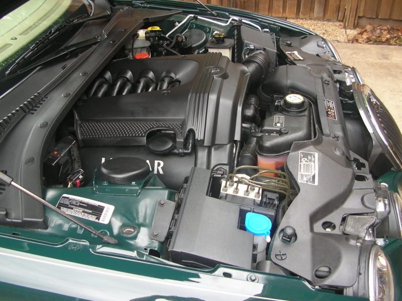 DSCN9066.jpg