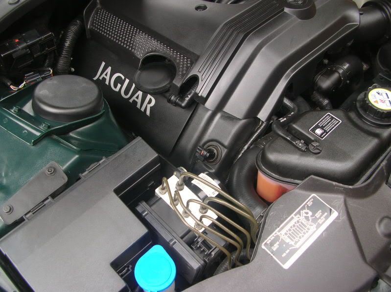 DSCN9068.jpg