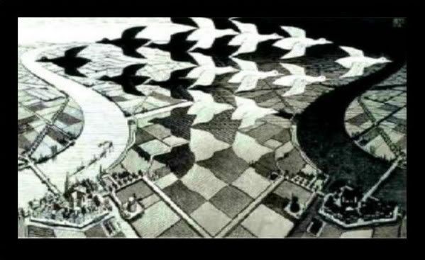 (RS)Day & night by M.C. Escher