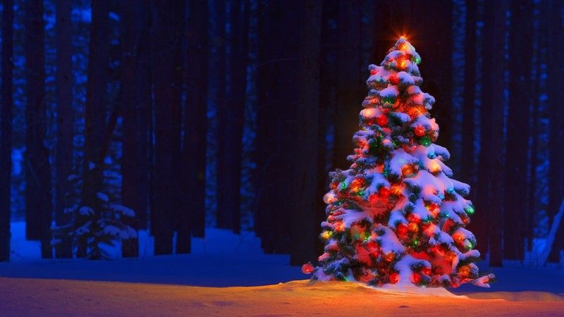 Christmas-Tree-Lights-2.jpg
