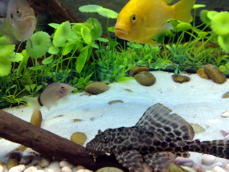 topic về những hình ảnh chụp bằng điện thoại di động - 1