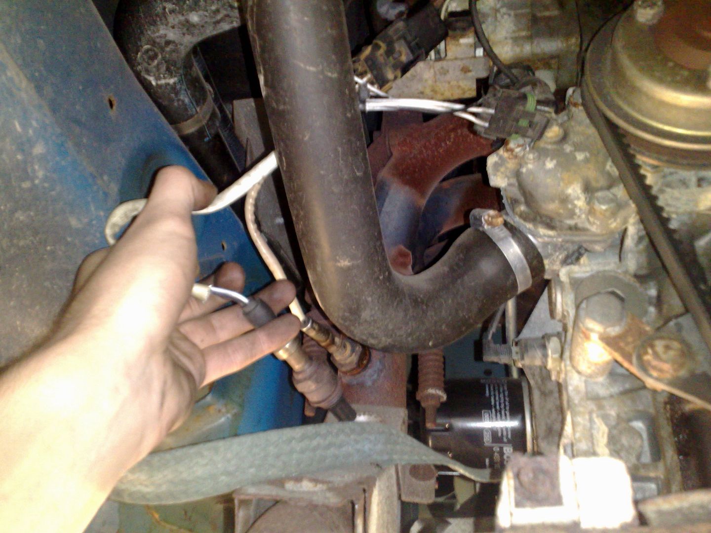 th_21052011073.jpg