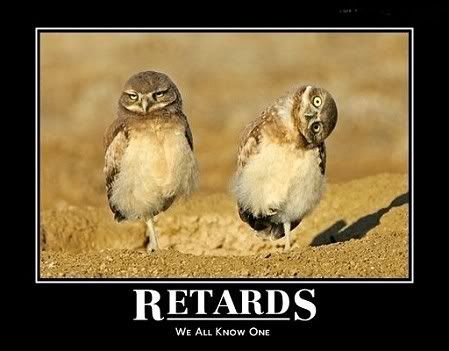 funny pictures retards. bird-owl-funny-retards-