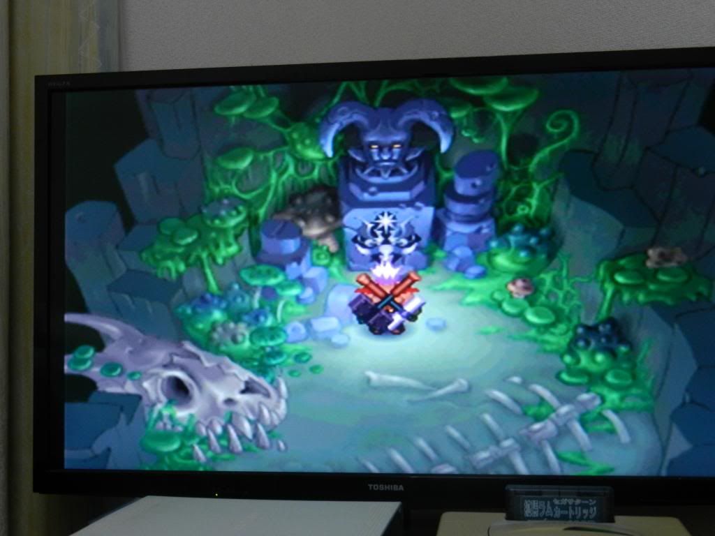  photo DSCN1559_zps8c70e690.jpg