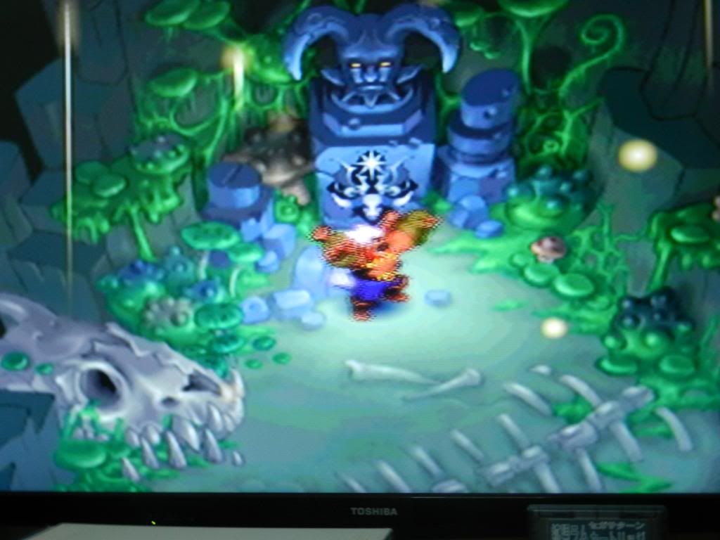  photo DSCN1561_zps712c0221.jpg