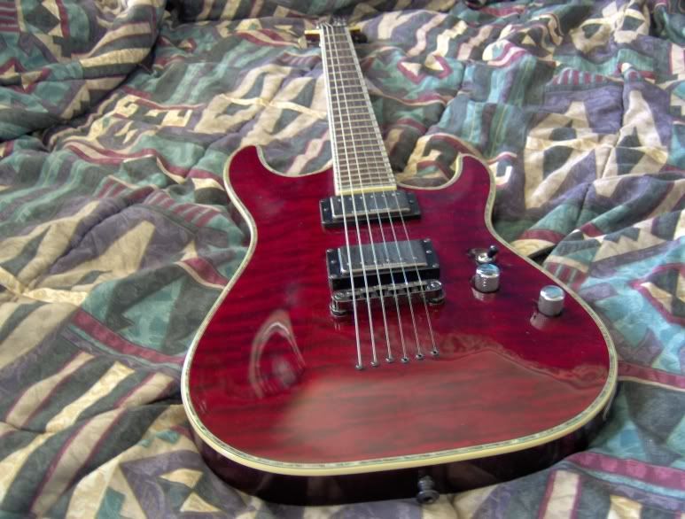 schecter3.jpg