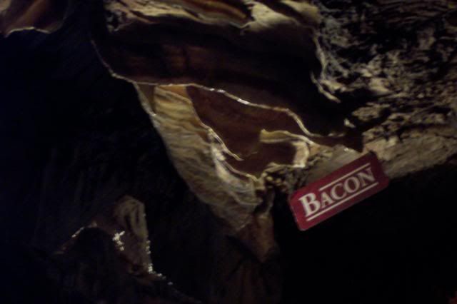 cave bacon!